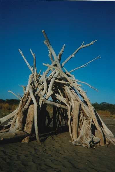 ../Images/10maremma.jpg