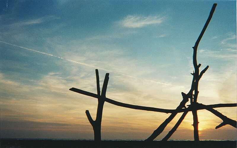 ../Images/15maremma.jpg