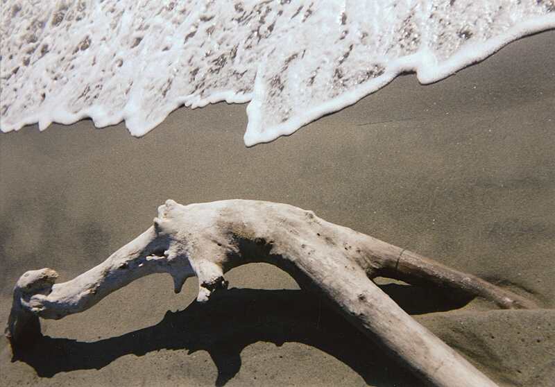 ../Images/17maremma.jpg
