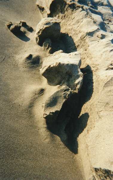 ../Images/18maremma.jpg