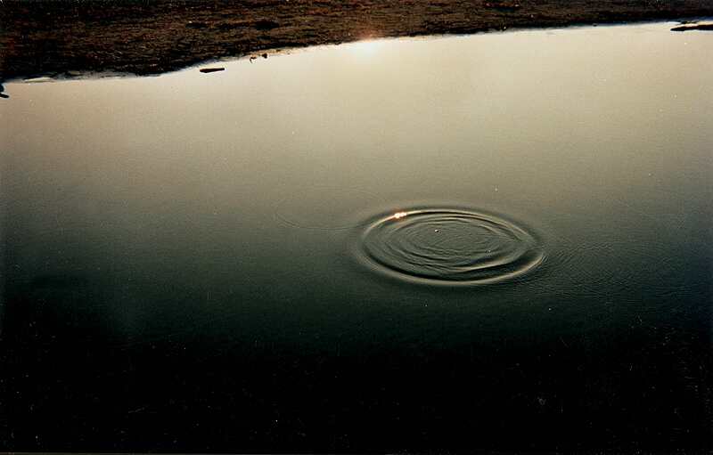 ../Images/22maremma.jpg