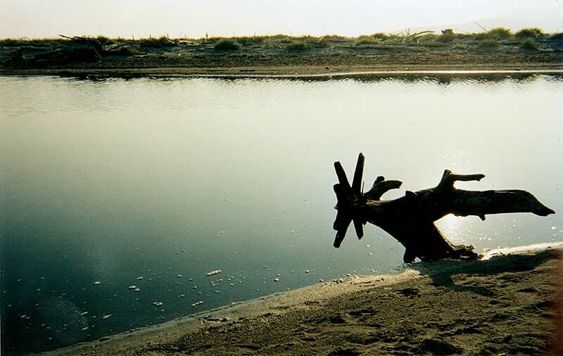 ../Images/23maremma.jpg