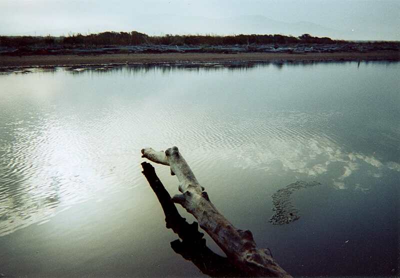 ../Images/24maremma.jpg