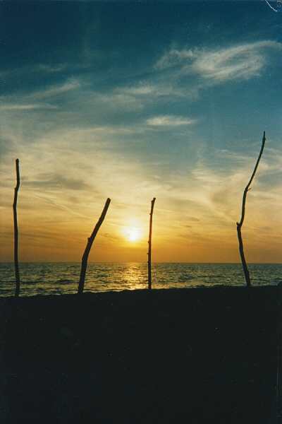 ../Images/3maremma.jpg