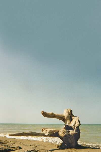 ../Images/4maremma.jpg