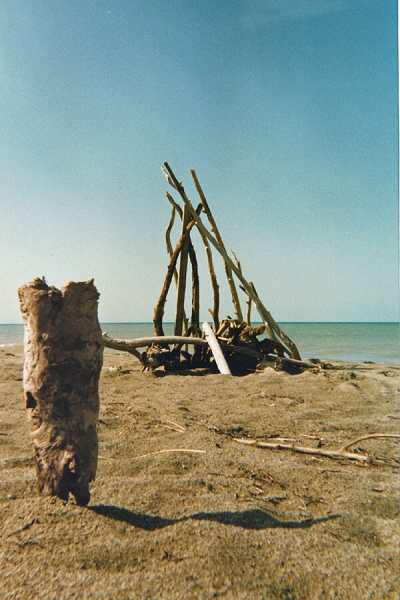 ../Images/8maremma.jpg