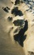 Thumbs/tn_18maremma.jpg