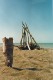 Thumbs/tn_8maremma.jpg